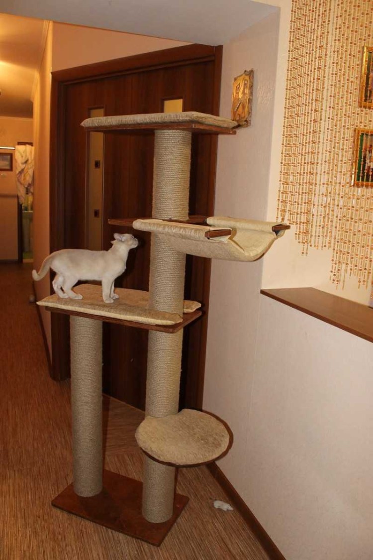 Мостик настенный для кошек