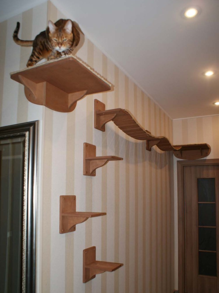 Настенный комплекс для кошек