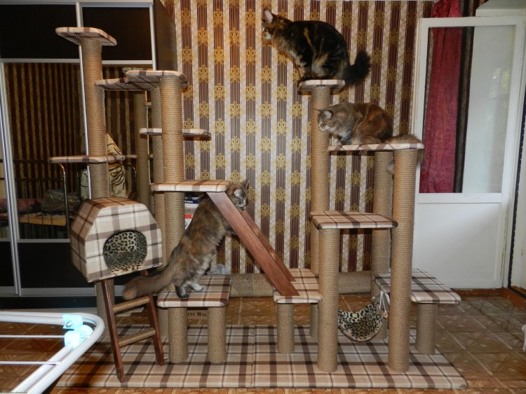 Стойка для котов