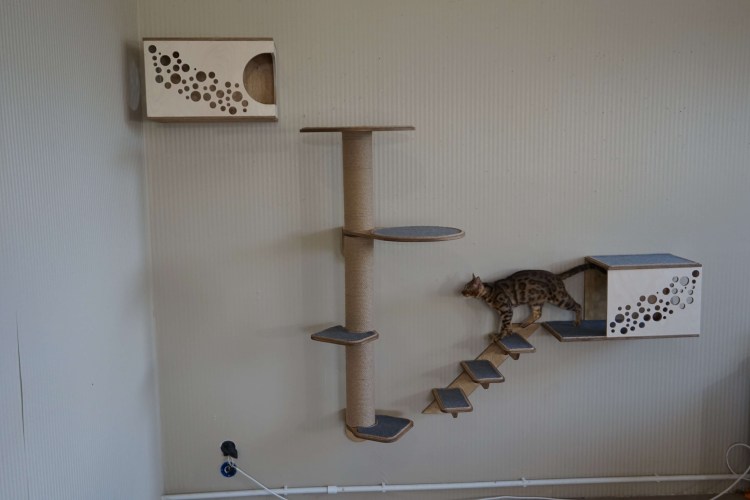 Кошачий домик лазалка