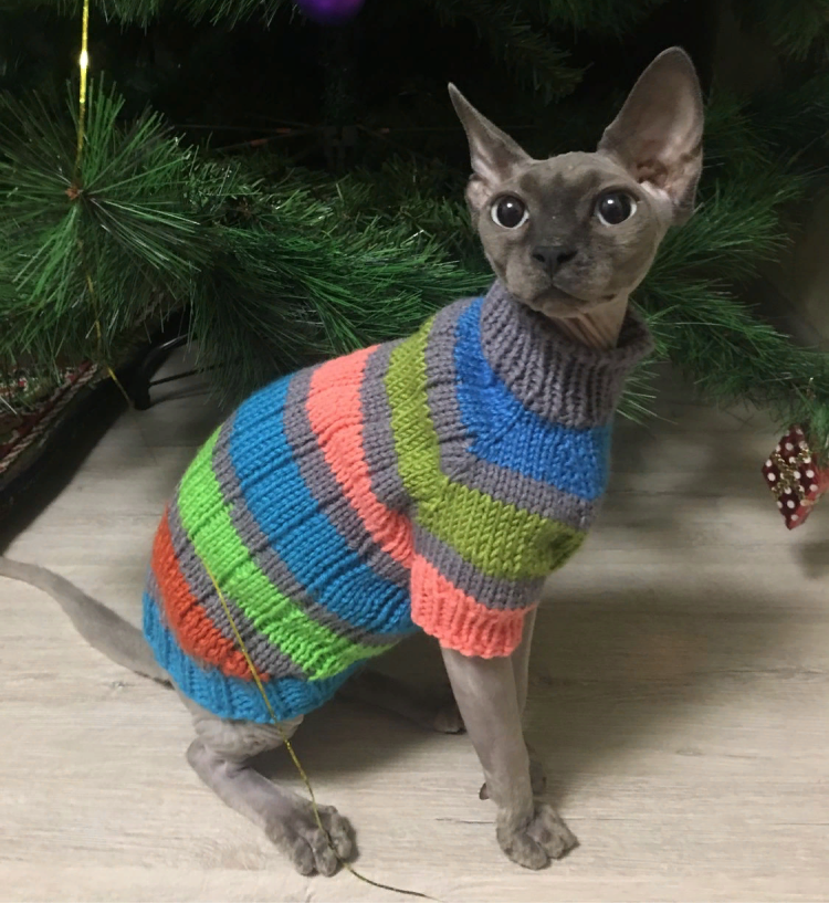 Вязаная одежда для кошек