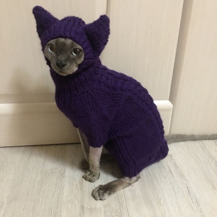 Свитер для Корниша Рекса