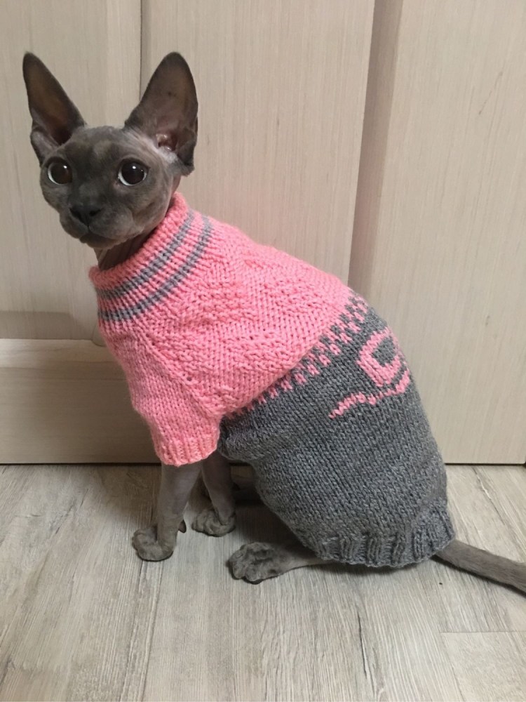 Вязаная одежда для кошек