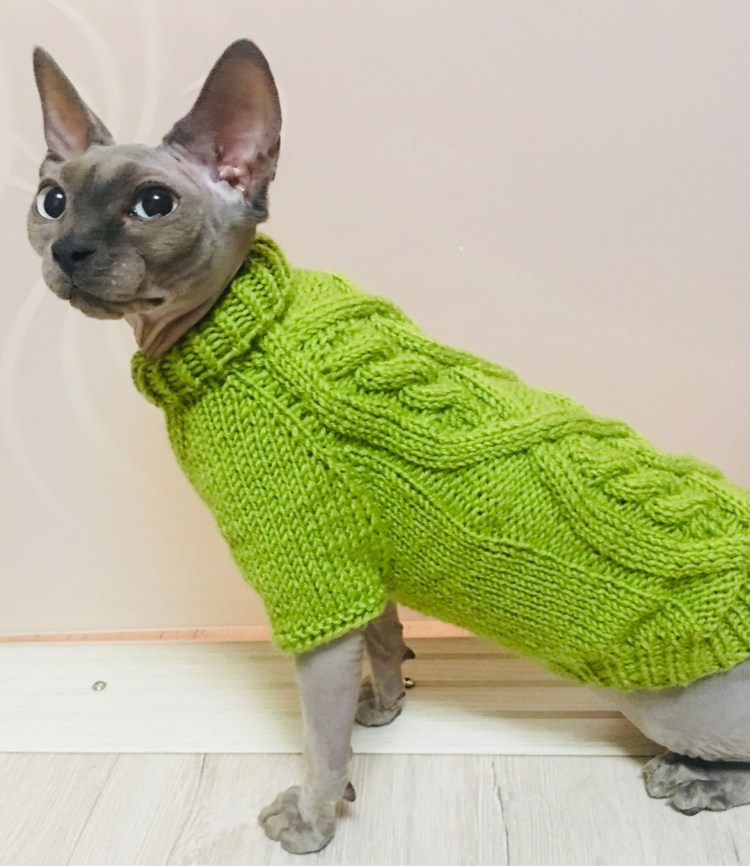 Вязаная одежда для кошек