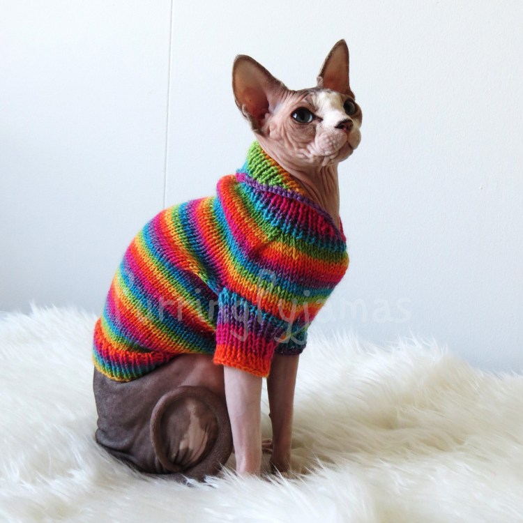 Вязаная одежда для кошек