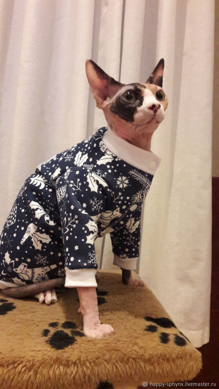 Одежда для сфинксов