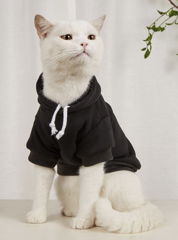 Свитер для кошки