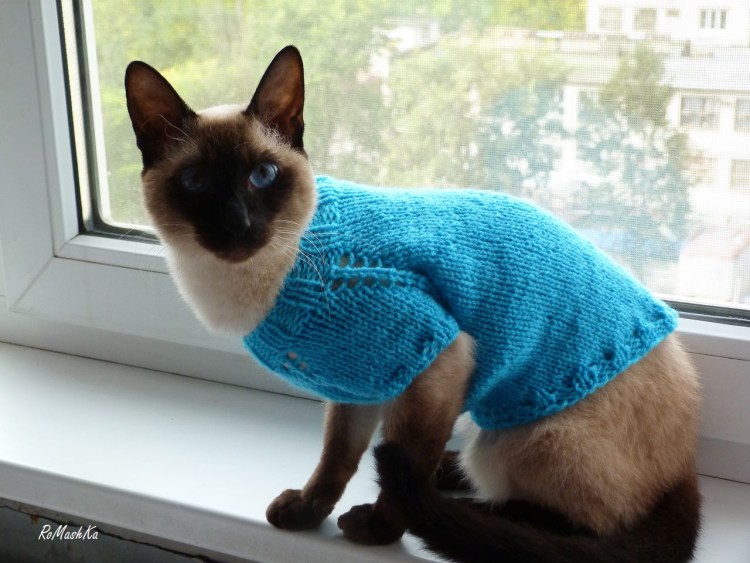 Кофточки для сфинксов