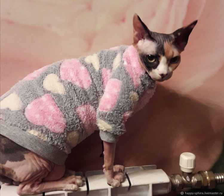 Вязаная одежда для кошек