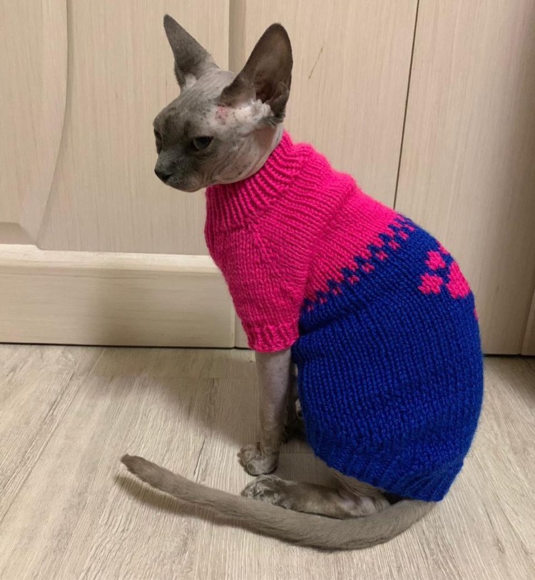 Свитерки для кошек