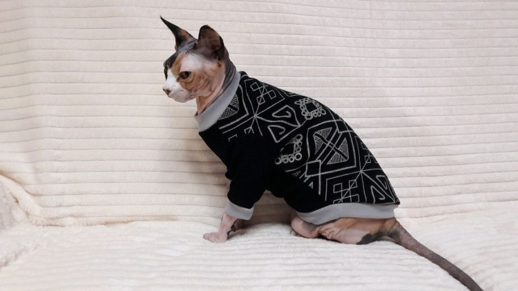 Одежда для кошек крючком