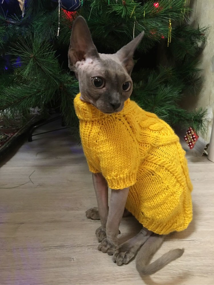 Кофточки для котов