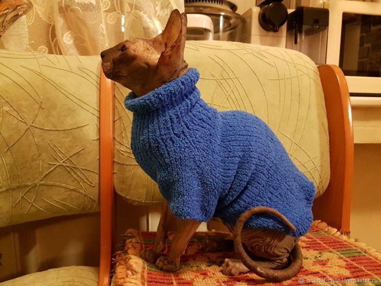 Кофта для кошки