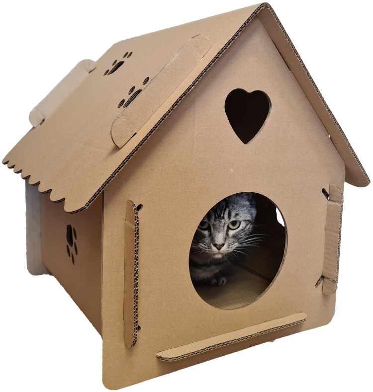 Кошки и коробки