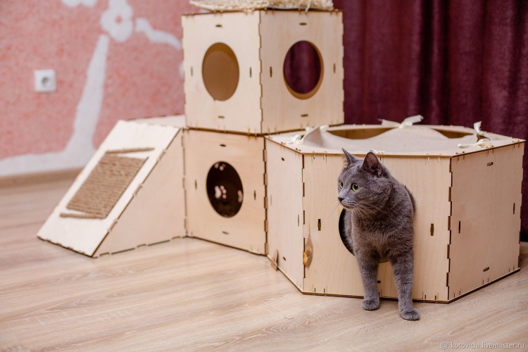 Дом для кошки
