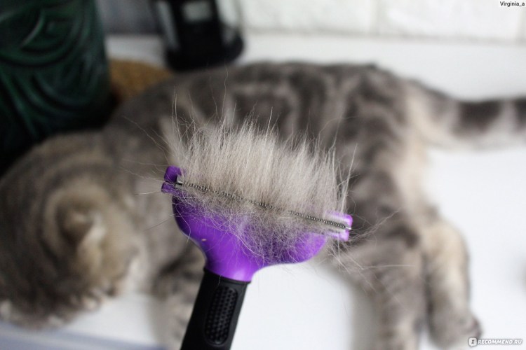 Фурминатор до и после