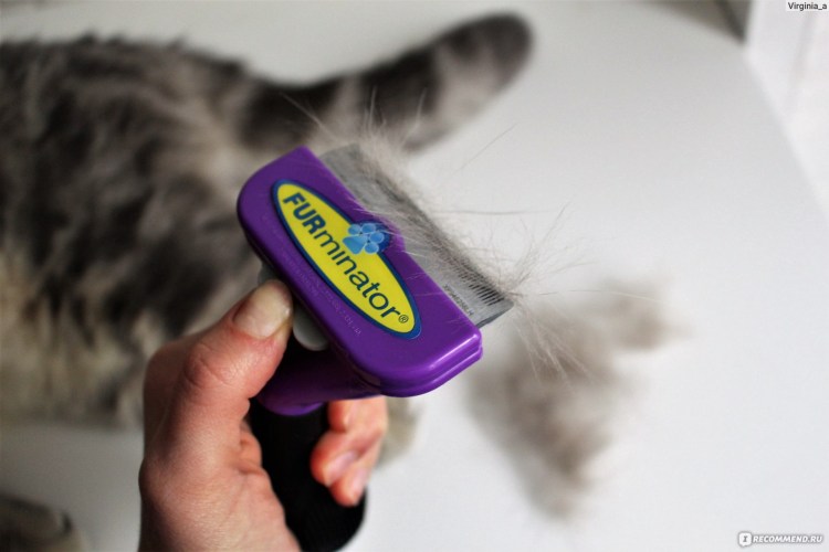 Фурминатор до и после