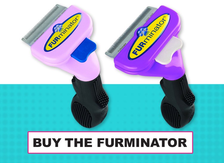 Для вычесывания кошек фурминатор