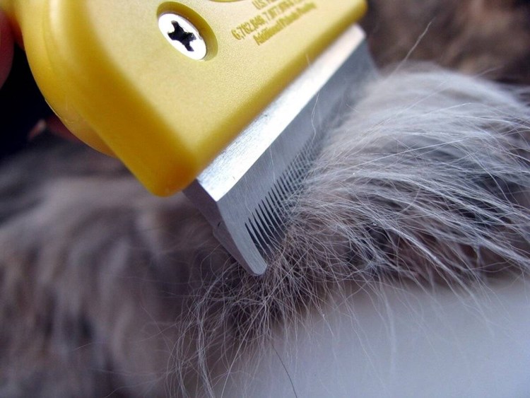 Unhairing фурминатор