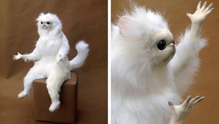 Кота тошнит Мем