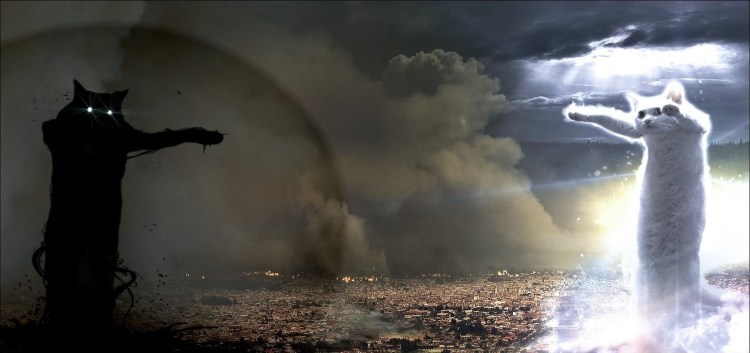 Максим Беляшкин