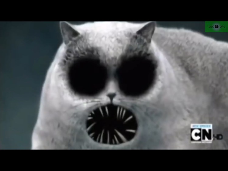 Растрепанный котенок