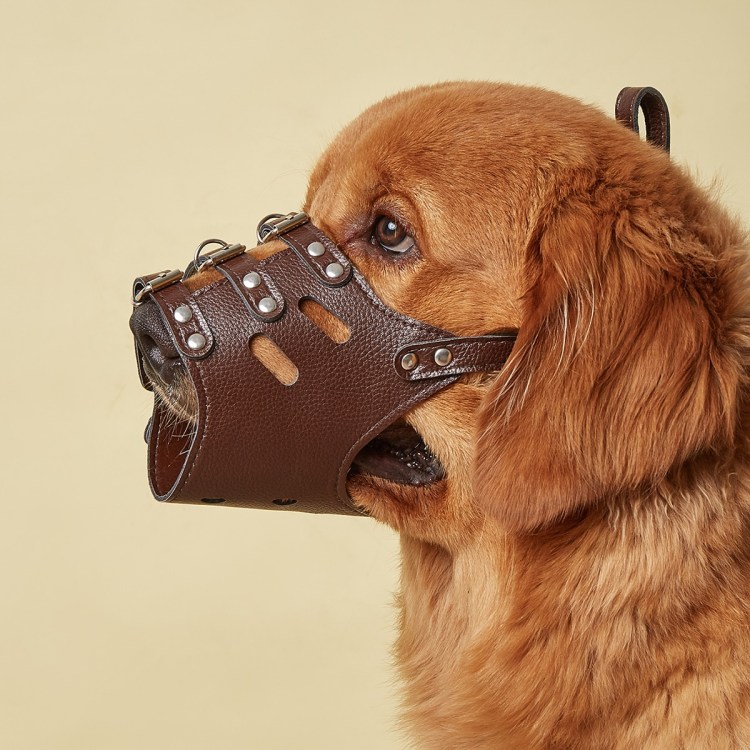 Зимний намордник