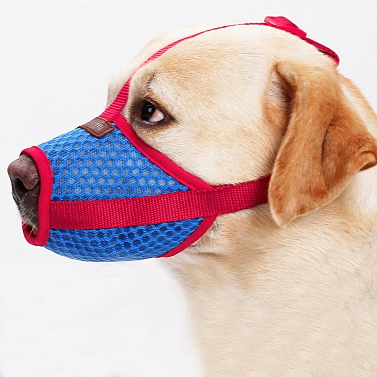 Фиксатор для кошек