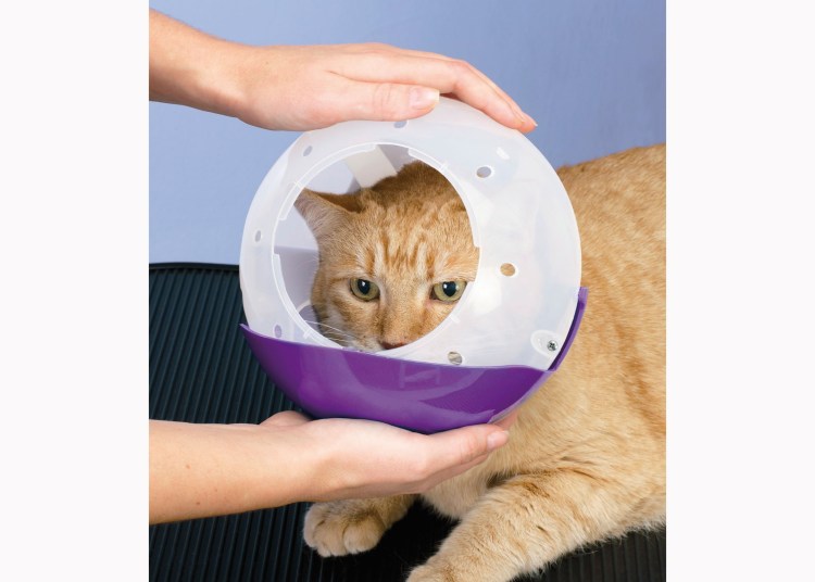 Kruuse Buster ветеринарный намордник нейлоновый для кошек, красный s