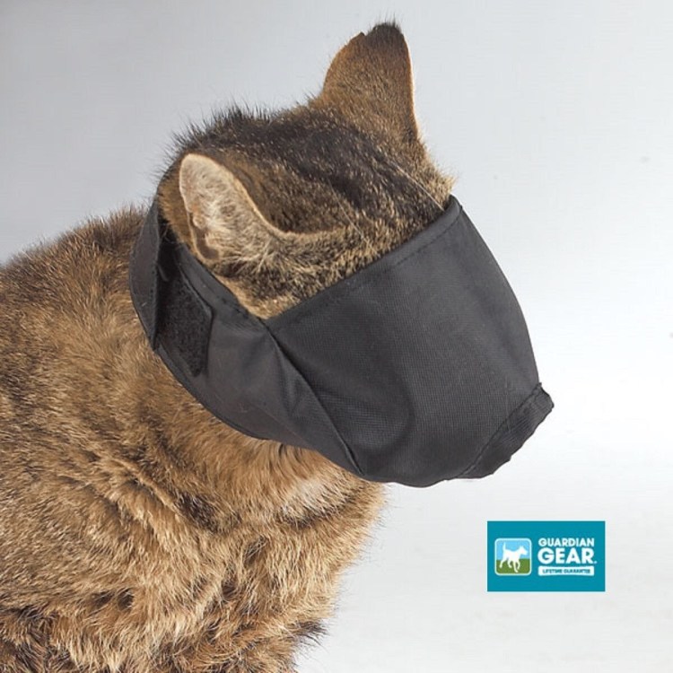 Намордник коллар дог экстрим для кошек нейлоновый средний /4351/