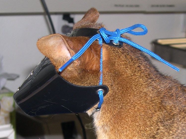 Защитный намордник для кошек