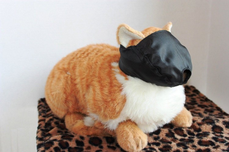 Намордник из бутылки