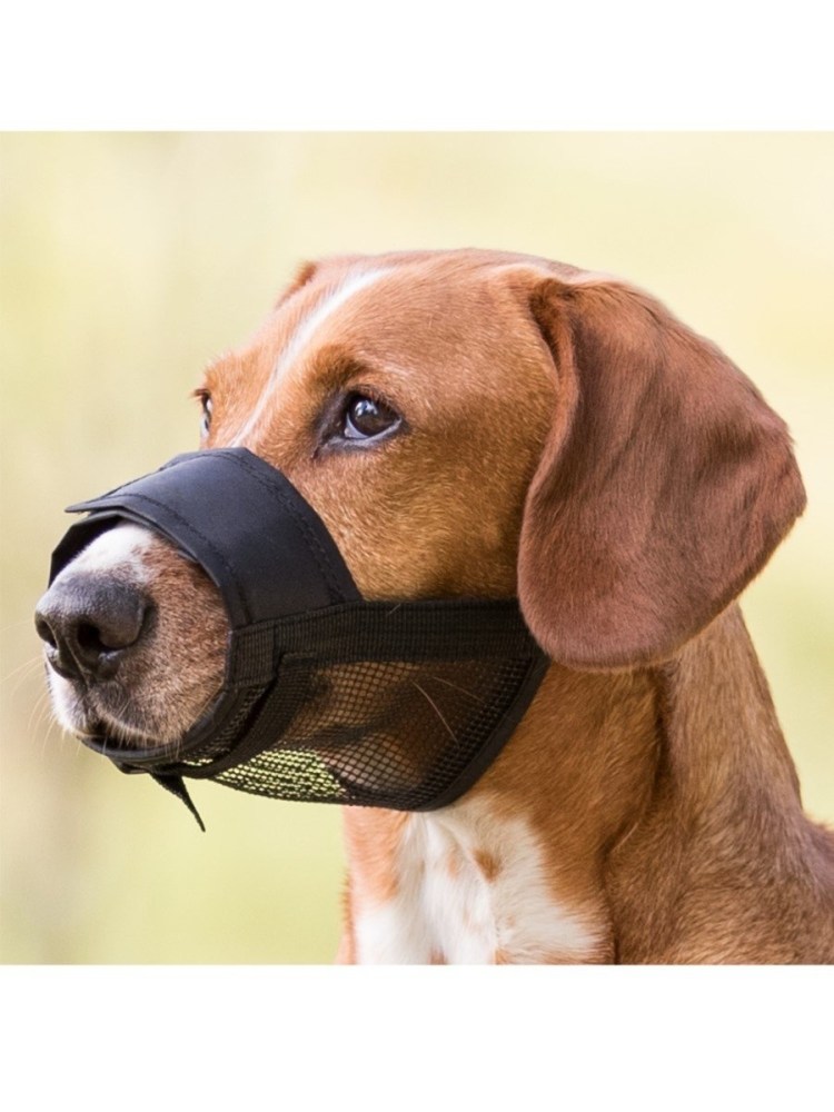 Защитный намордник для кошек