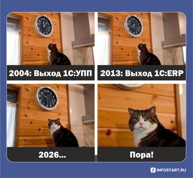 Мемы с котиками