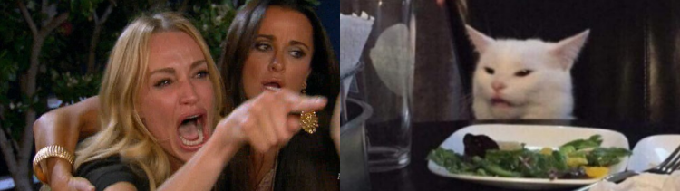 Мем кот и две девушки