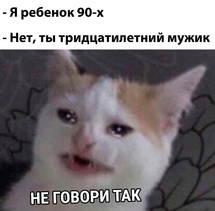 Кот понедельник