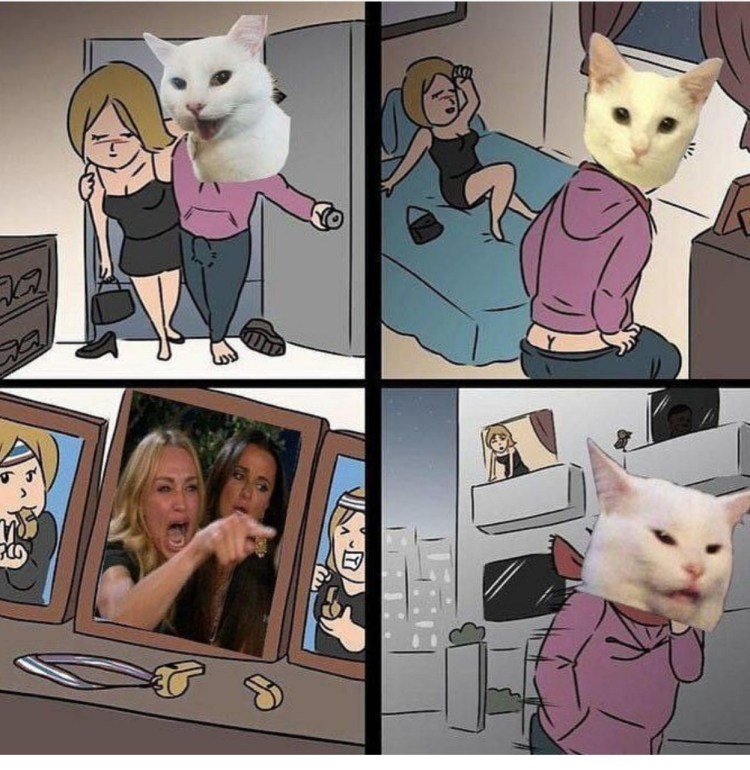 Коты из мемов