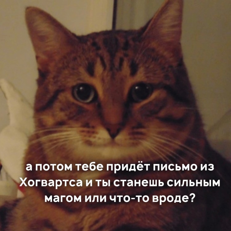 Фу море фу солнце фу люди