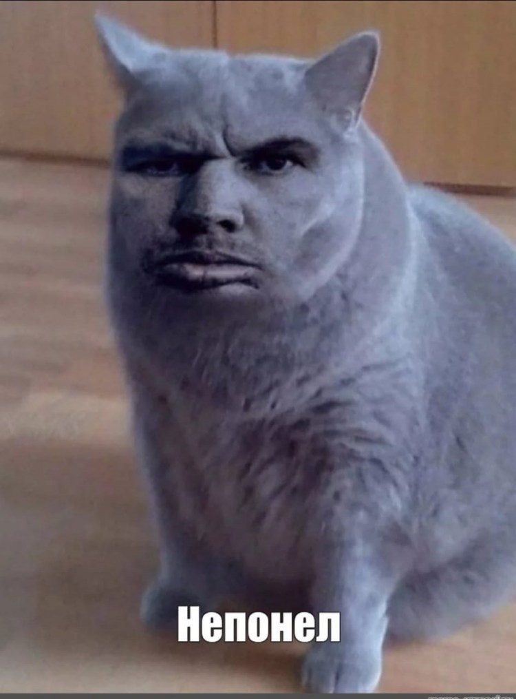 Упоротые коты