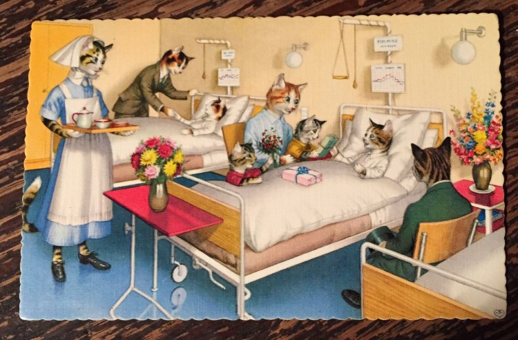 Котик болеет