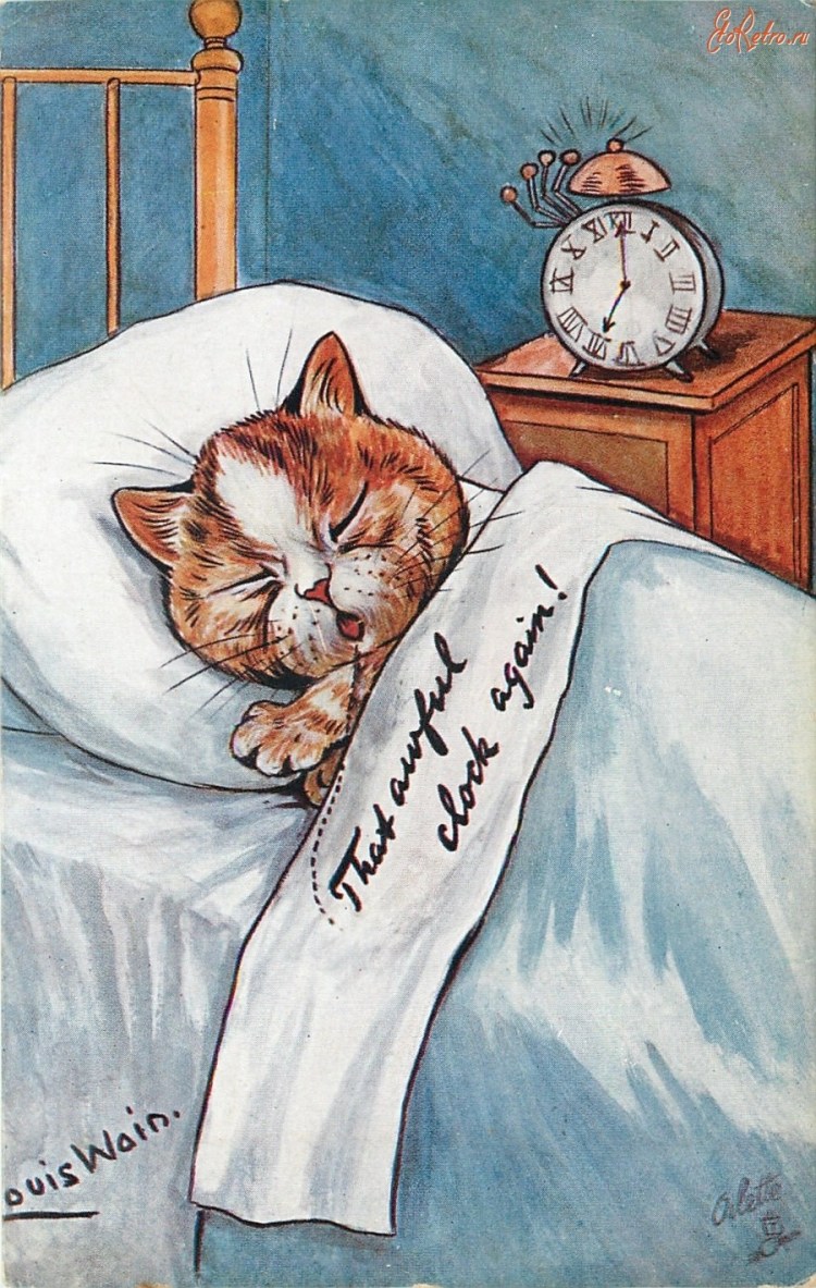 Кот валяется