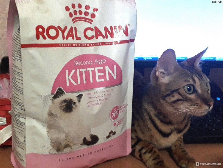 Корм для кошек супер премиум класса