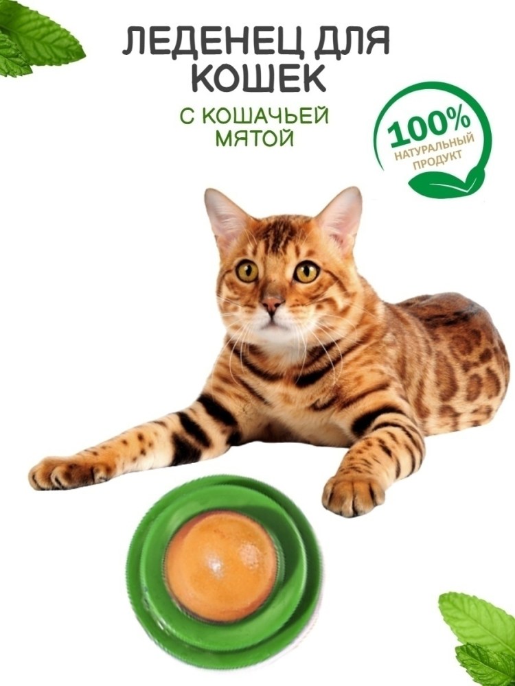 Alpha Spirit Turkey snacks