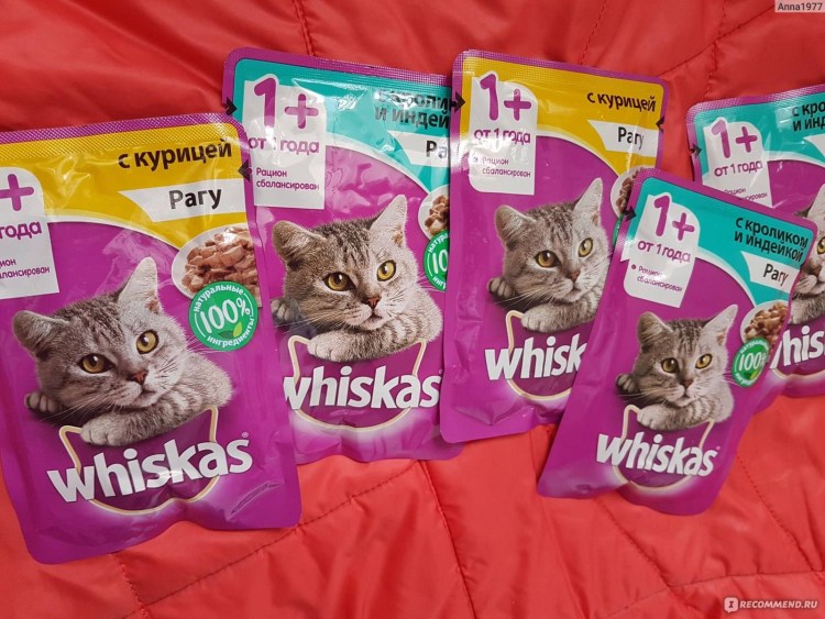 Monge PFB Cat корм для взрослых кошек 10 кг