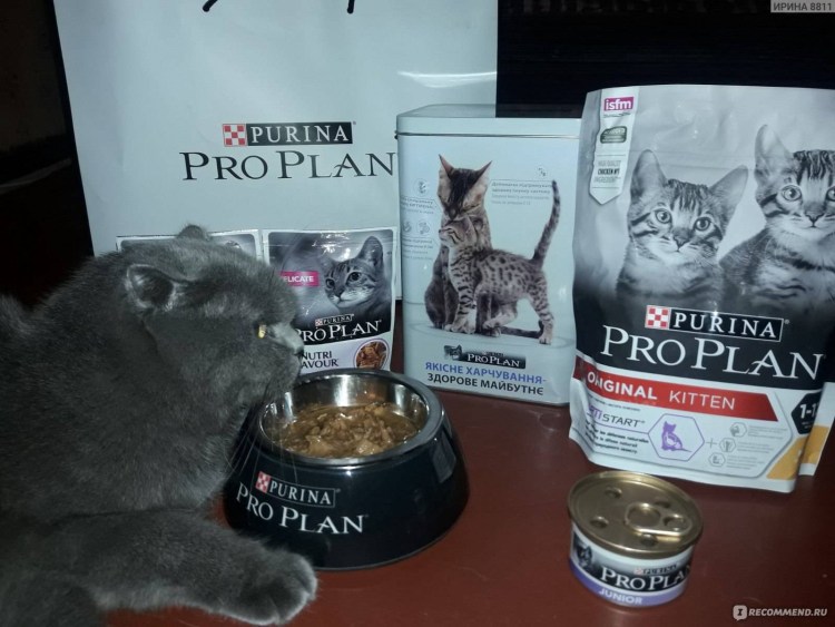 Корм для кошек OPTIMANOVA (2 кг) Kitten Chicken & Rice