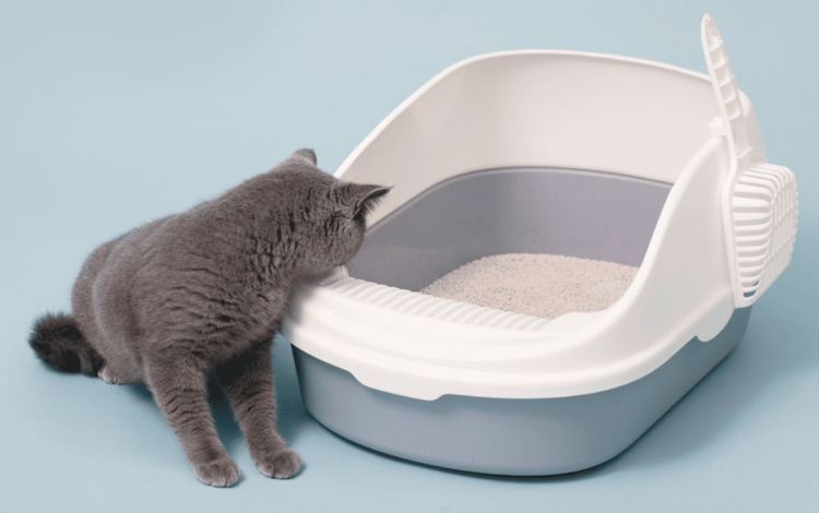 Лоток для кошек Xiaomi Semi-open Cat Litter (White/белый)