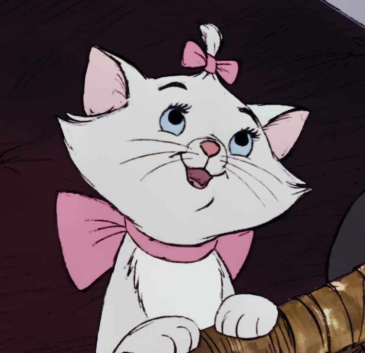 Мультяшный Беленький котёнок