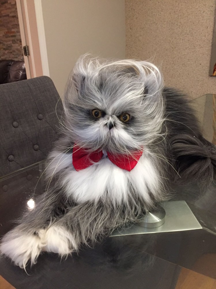 Атчум персидский