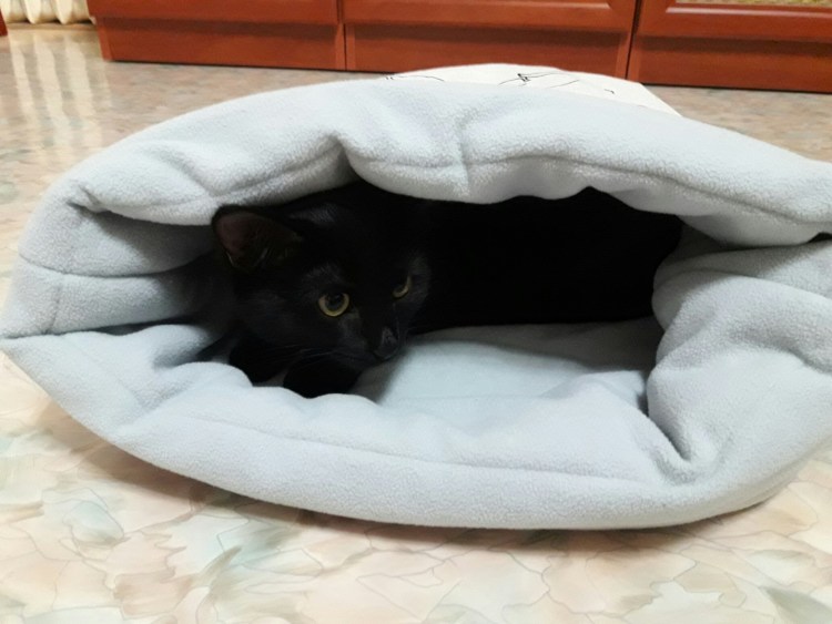 Домик мешок для кошки