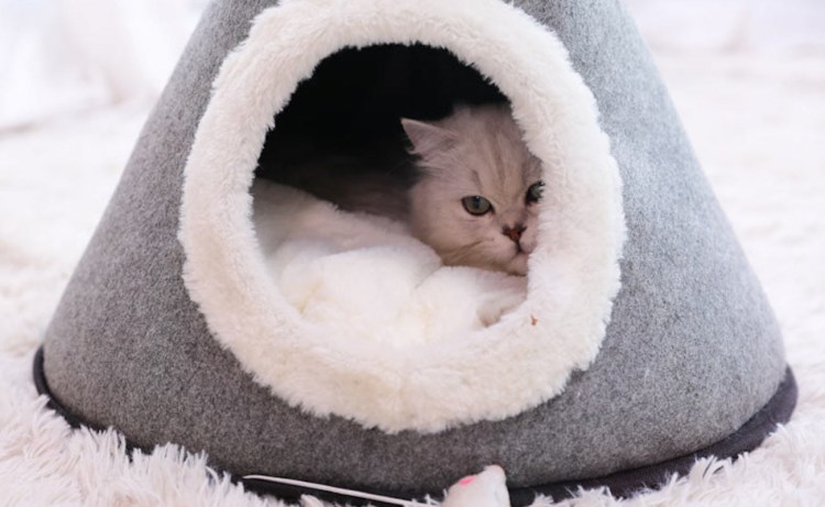 Войлочный спальный мешок для кошек